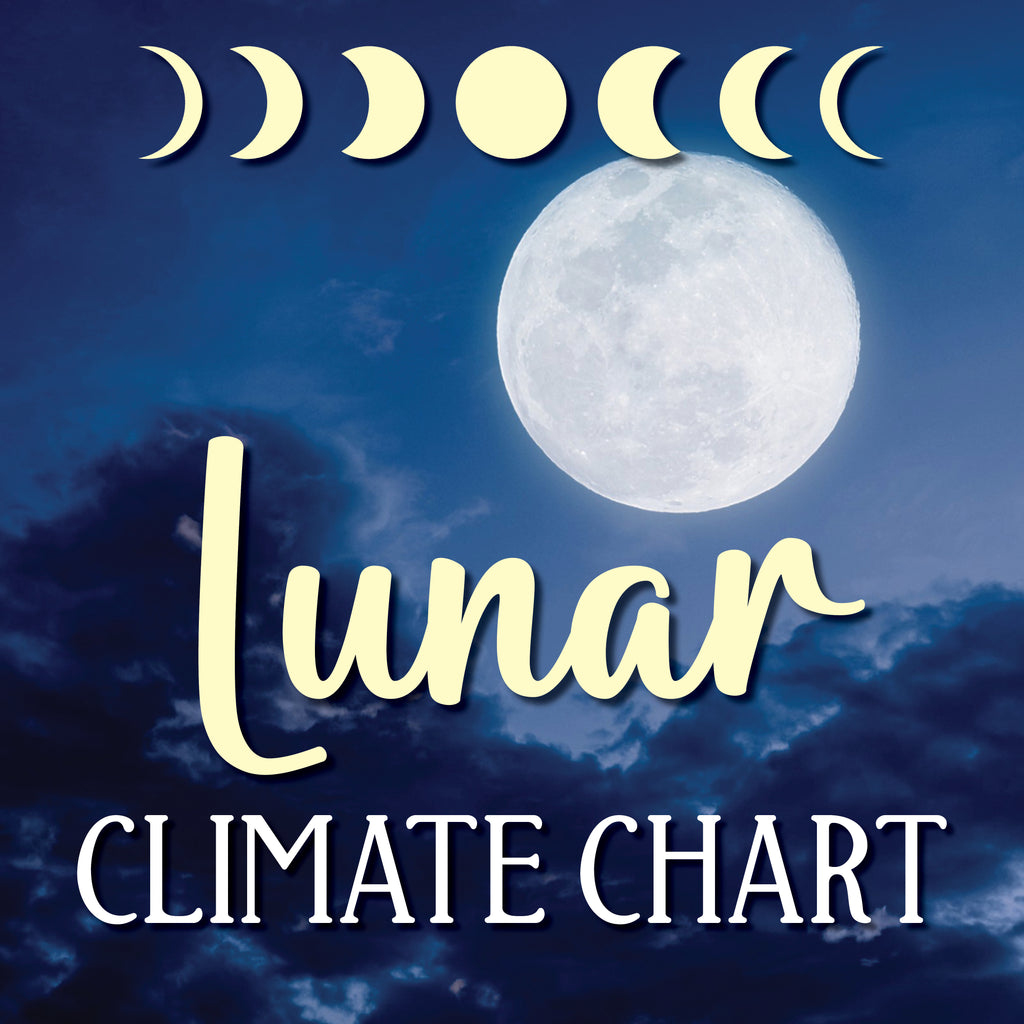 lunar-climate-chart-cross-stitch-kit-forbidden-fiber-co